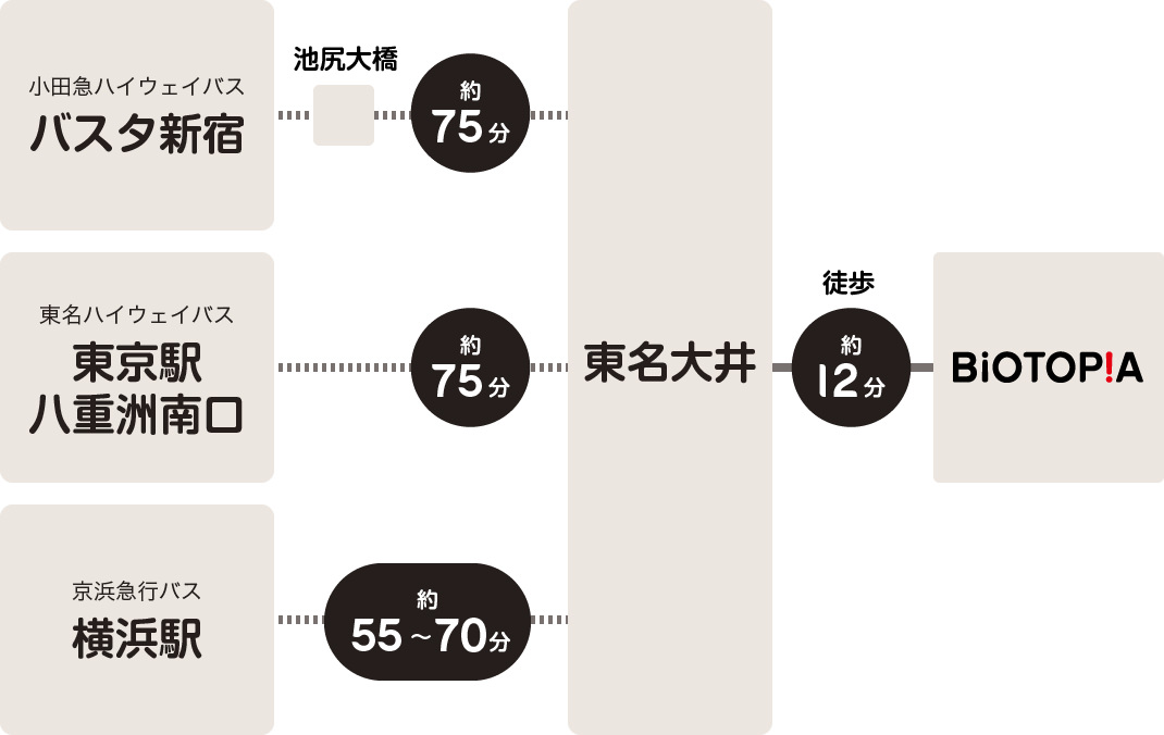 高速バスでご来場される場合の経路図