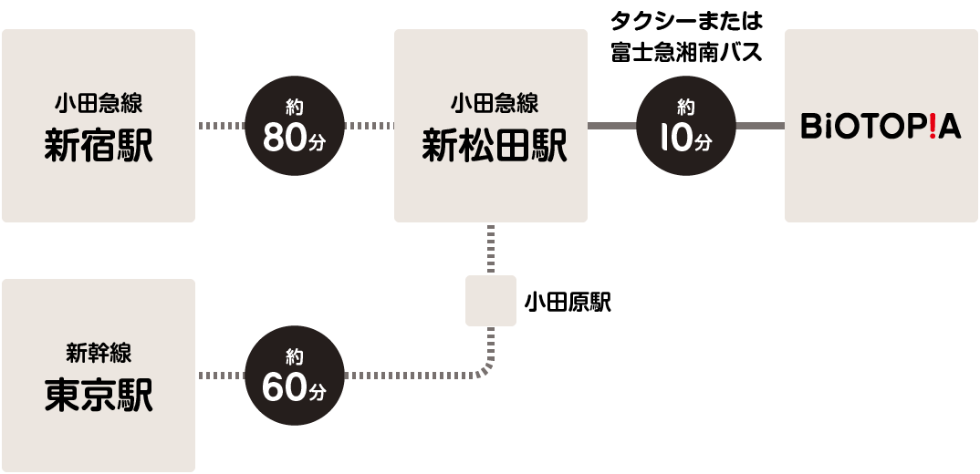 鉄道でご来場される場合の経路図