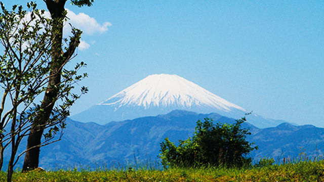 雄大な富士と箱根連山