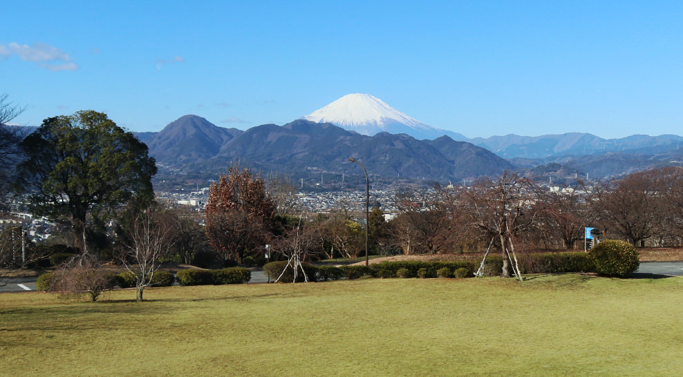 ビオトピアから望む富士山