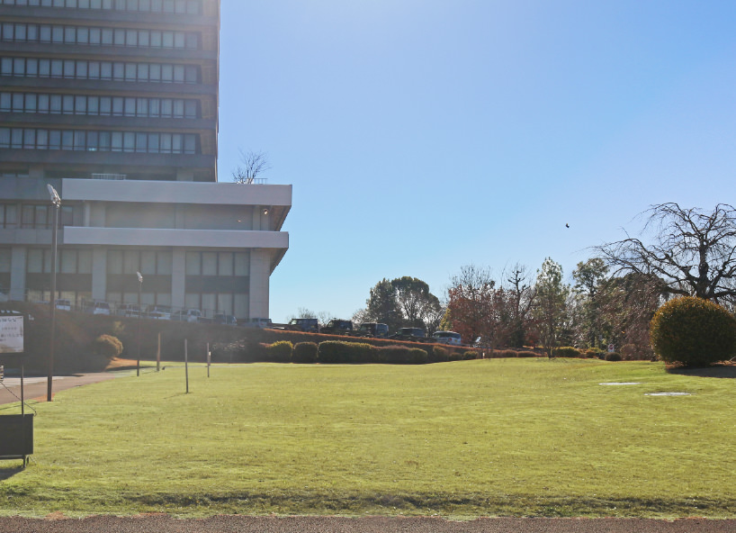 屋外フィールド