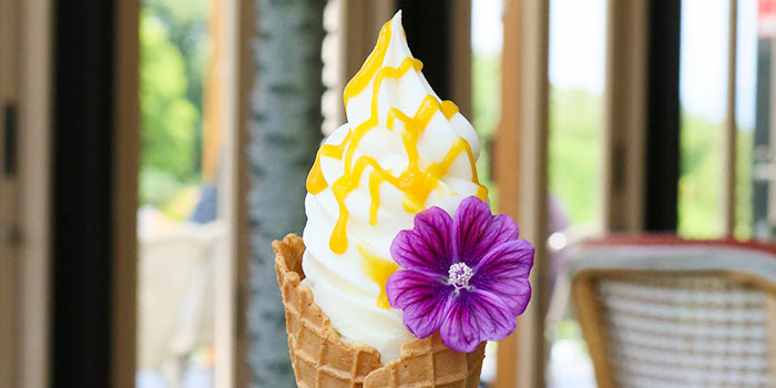 鮮やかな花をトッピング!ソフトクリーム