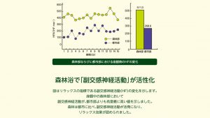 森林セラピーの効果