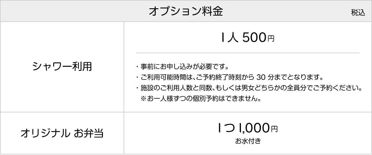 オプション料金表