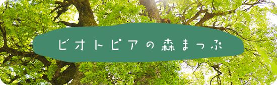 森マップ