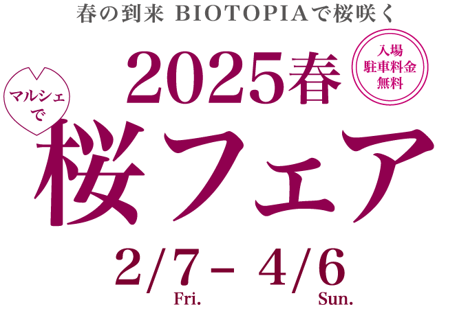 春の到来 BIOTOPIAで桜咲く 2025春 マルシェで桜フェア 2月7日〜4月6日 入場 駐車場無料