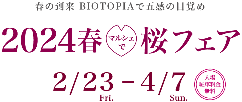 2024春 マルシェでビオトピア桜フェア 2月23日〜4月7日