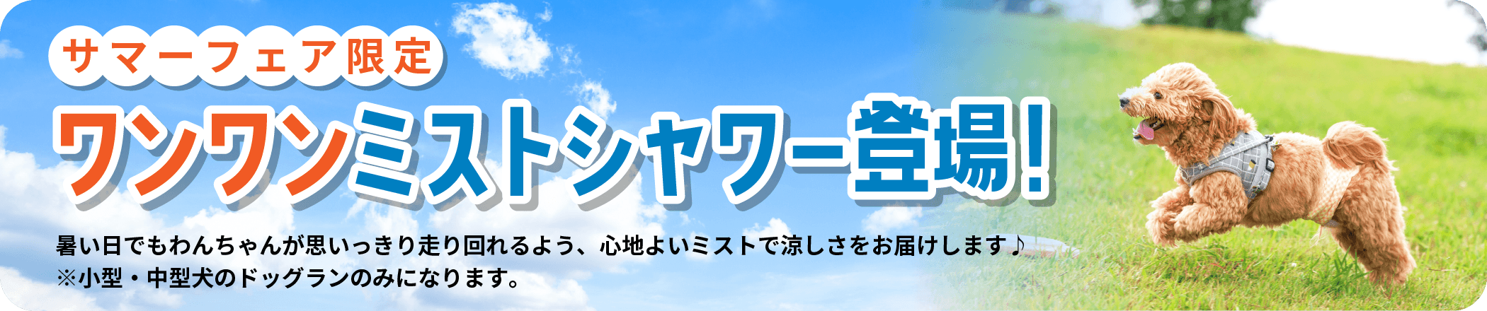 サマーフェア限定 ワンワンミストシャワー登場