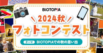 フォトコンテスト