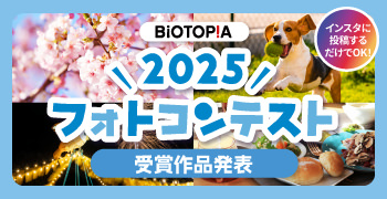 フォトコンテスト