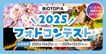 フォトコンテスト