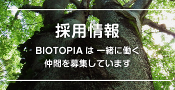 採用情報