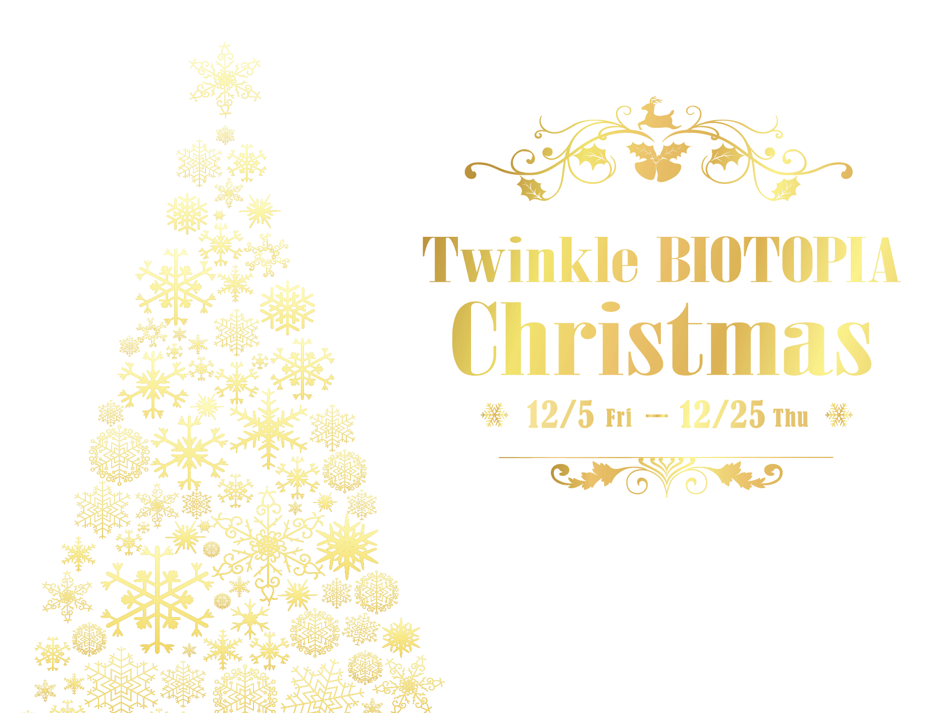 Twinkle BIOTOPIA Christmas トゥインクル ビオトピア クリスマス 12月5日〜25日